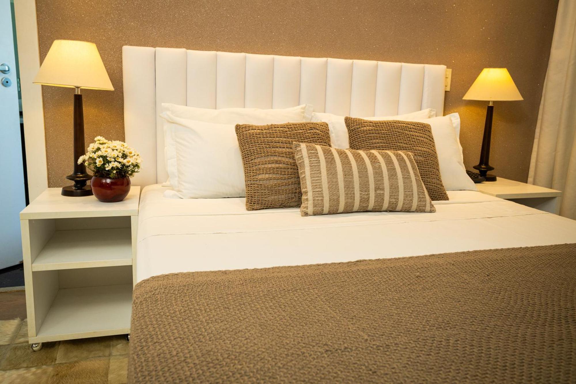 Alfa Hotel Viçosa エクステリア 写真